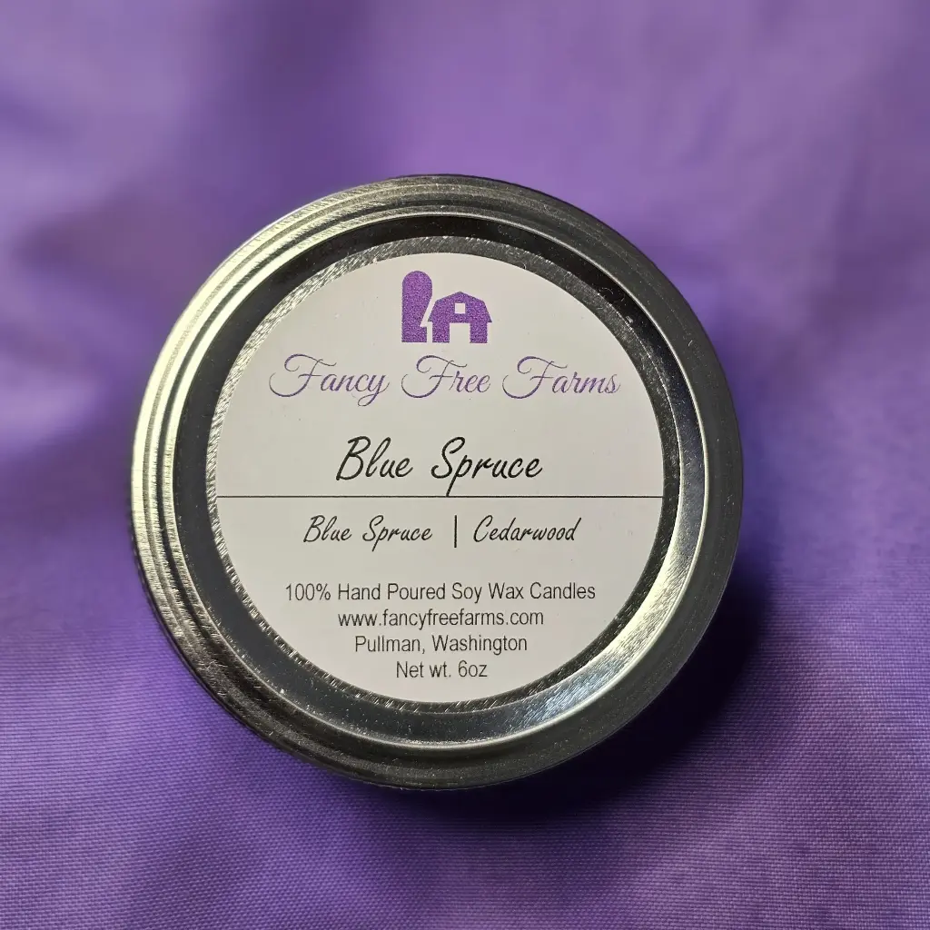 [CND-BS] Blue Spruce Soy Candle