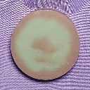 Pine & Cedar Goat's Milk Shampoo Bar