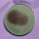Pine & Cedar Goat's Milk Conditioner Bar