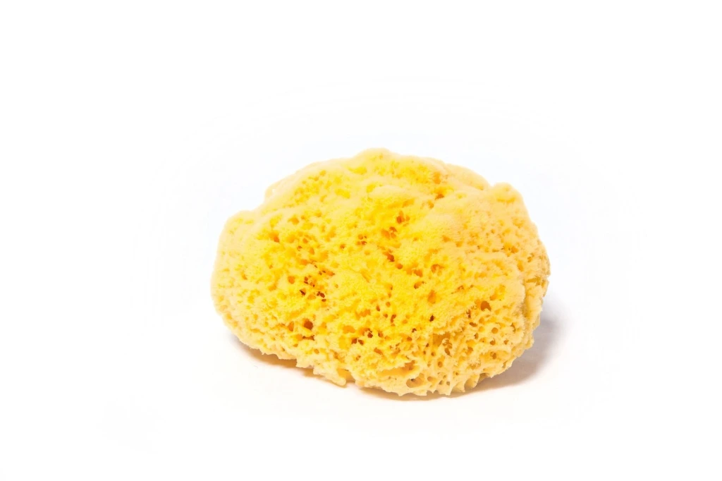 [ACC-SPG-56] Natural Sea Sponge (5-6 Inches)